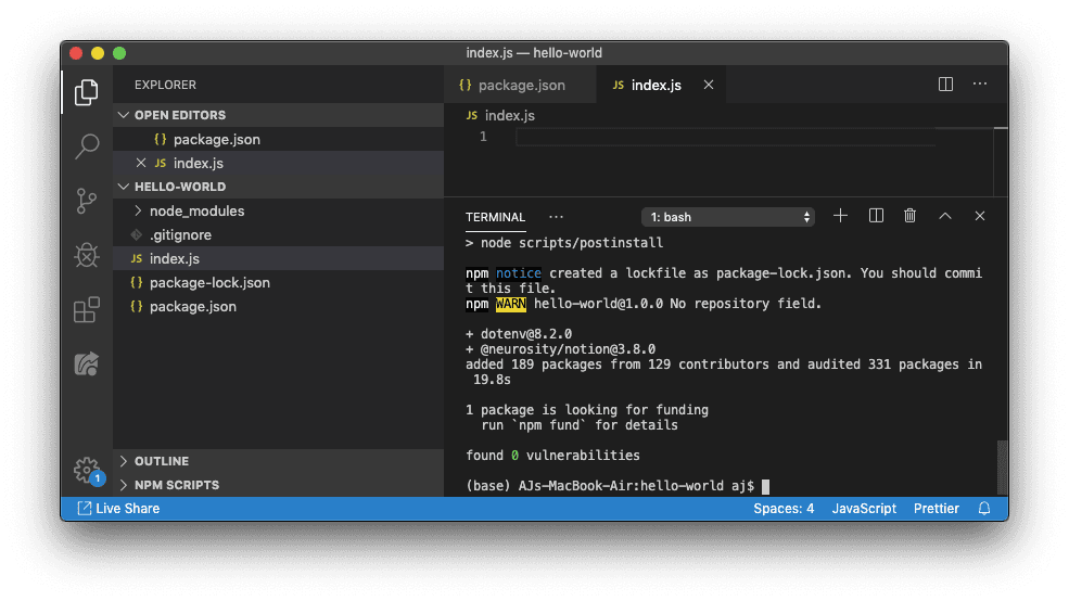 Screenshot of a VS Code terminal installing Node.js project dependencies