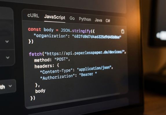 JavaScript fetch POST request code on an API documentation interface
